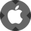 Apple tokenized stock (xStock)
