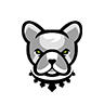 Pitbull Token